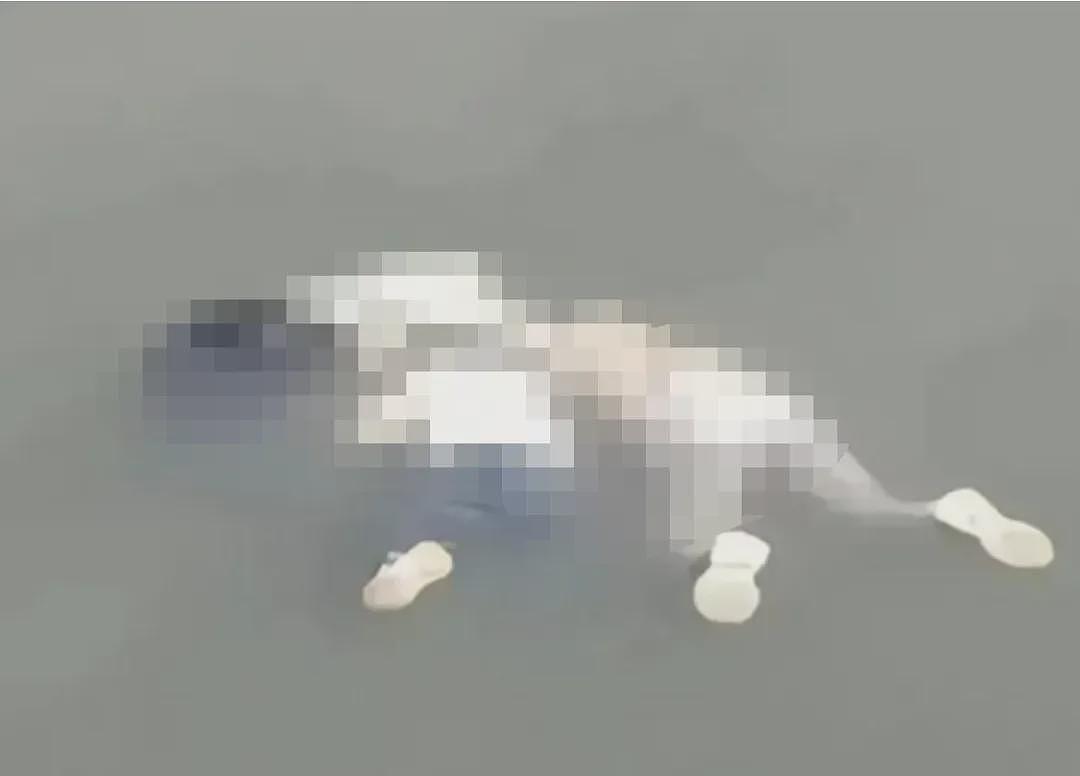 视频拍下重庆3岁孩子被妈妈从22楼扔下!惨剧背后原因让人愤怒…(组图) - 15