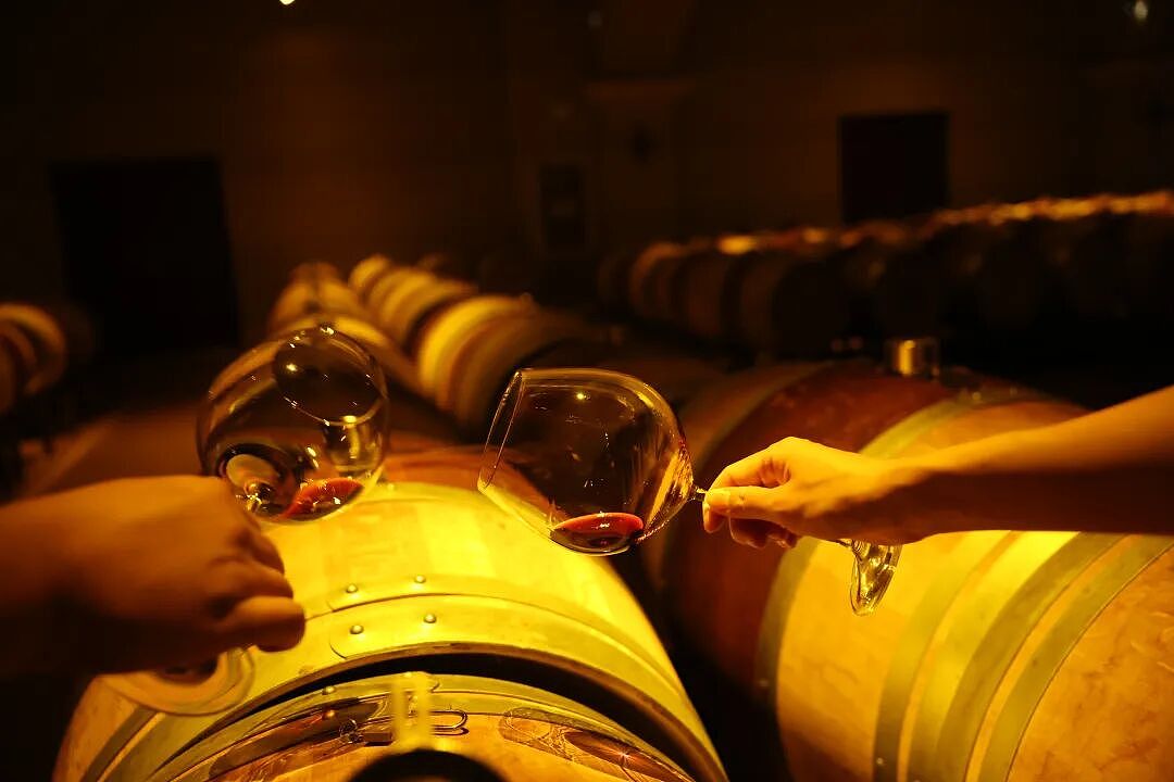 风靡全网的“中产标配”，到底谁喝明白了？（组图） - 3