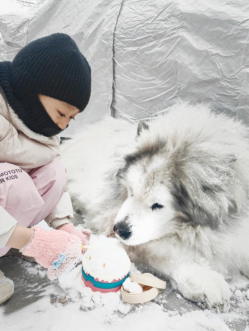 中独居人口超1.2亿成「灰犀牛」 陪伴、餐食…孤独经济崛起（组图） - 2