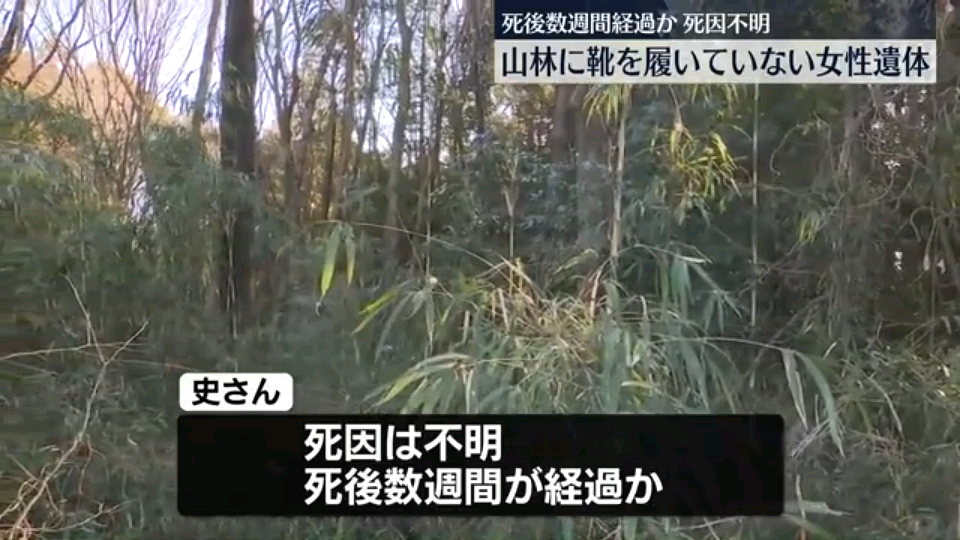 日本山林惊现中国籍女性遗体！眼睛充血疑似窒息死，肋骨骨折、下身仅剩内裤…（组图） - 5