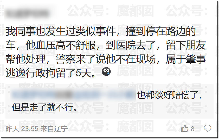 金晨交通肇事最终通报！却引发网友大面积质疑？是否应该担责？（组图） - 39