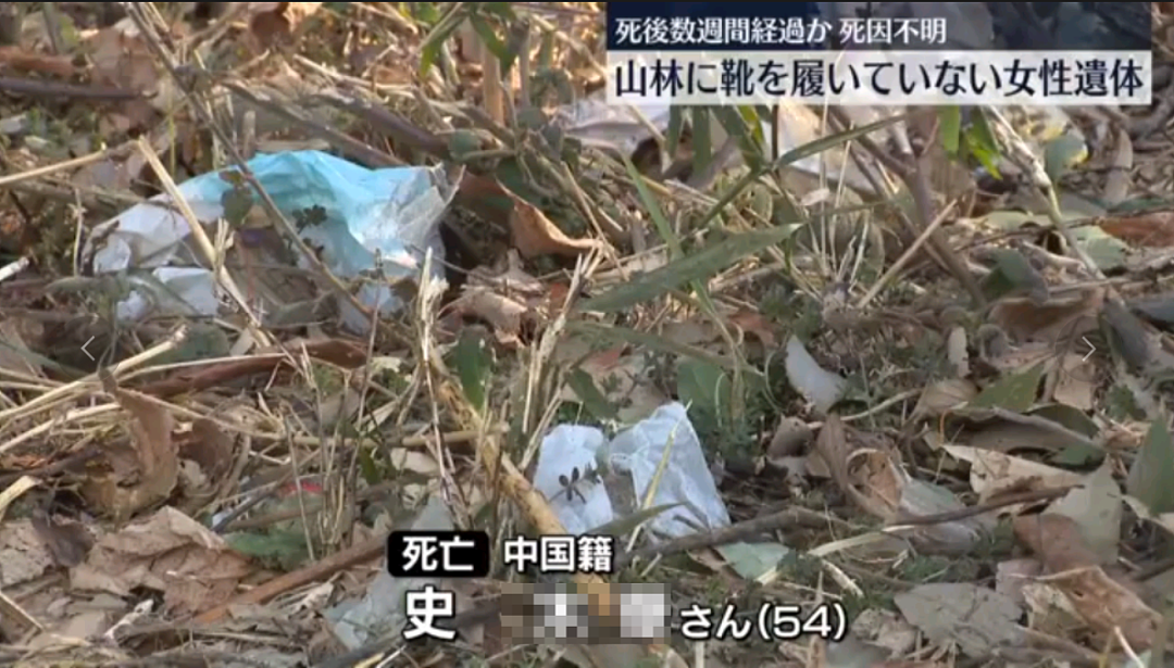 日本山林惊现中国籍女性遗体！眼睛充血疑似窒息死，肋骨骨折、下身仅剩内裤…（组图） - 1