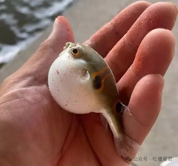 【爆笑】“离婚五天前夫在第三者家里中风了…?”啊啊啊报应来得太快就像龙卷风!(组图) - 22