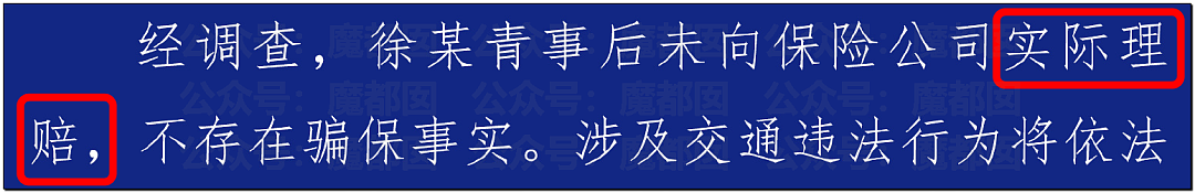 金晨交通肇事最终通报！却引发网友大面积质疑？是否应该担责？（组图） - 8