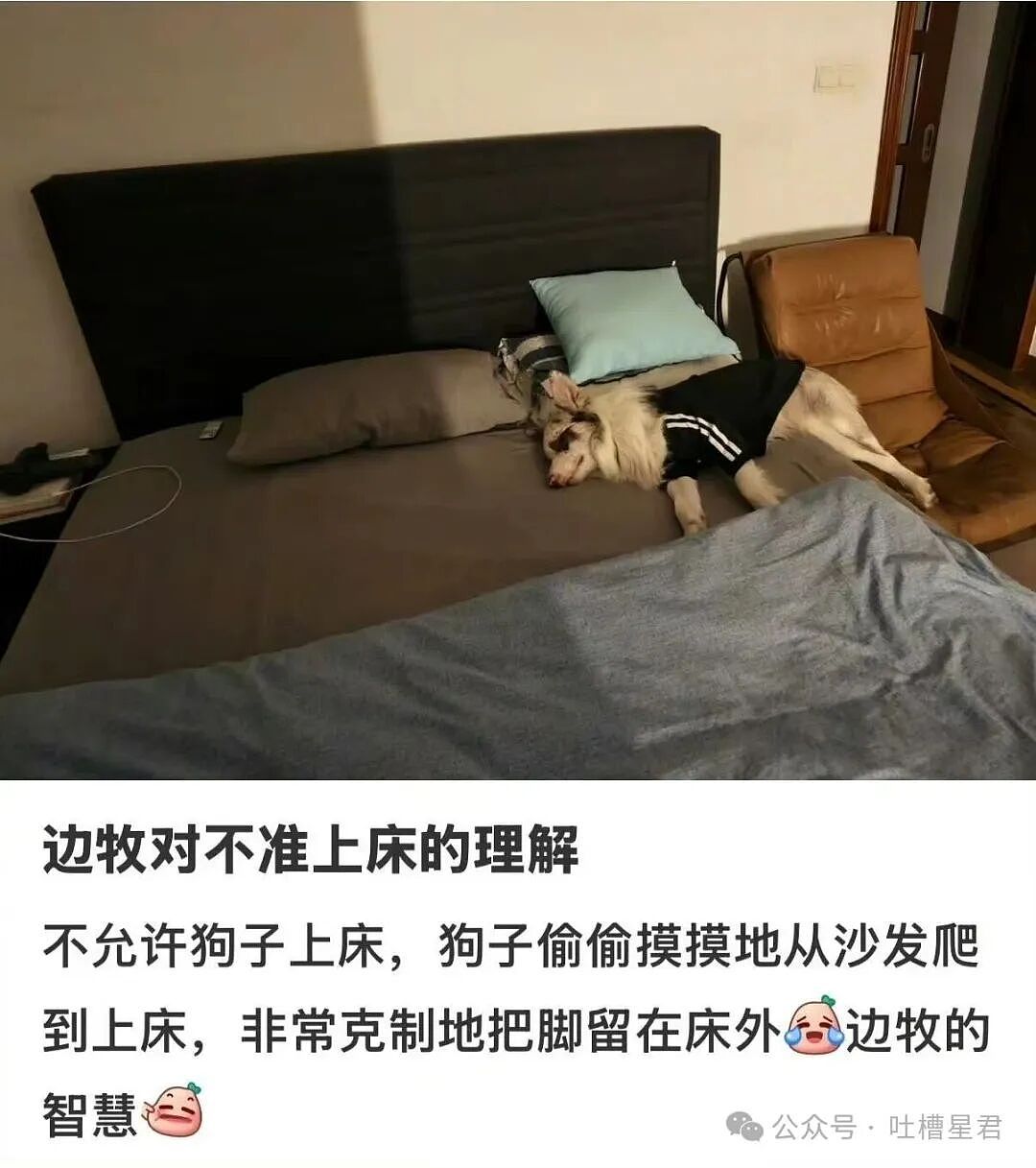 【爆笑】“离婚五天前夫在第三者家里中风了…?”啊啊啊报应来得太快就像龙卷风!(组图) - 40