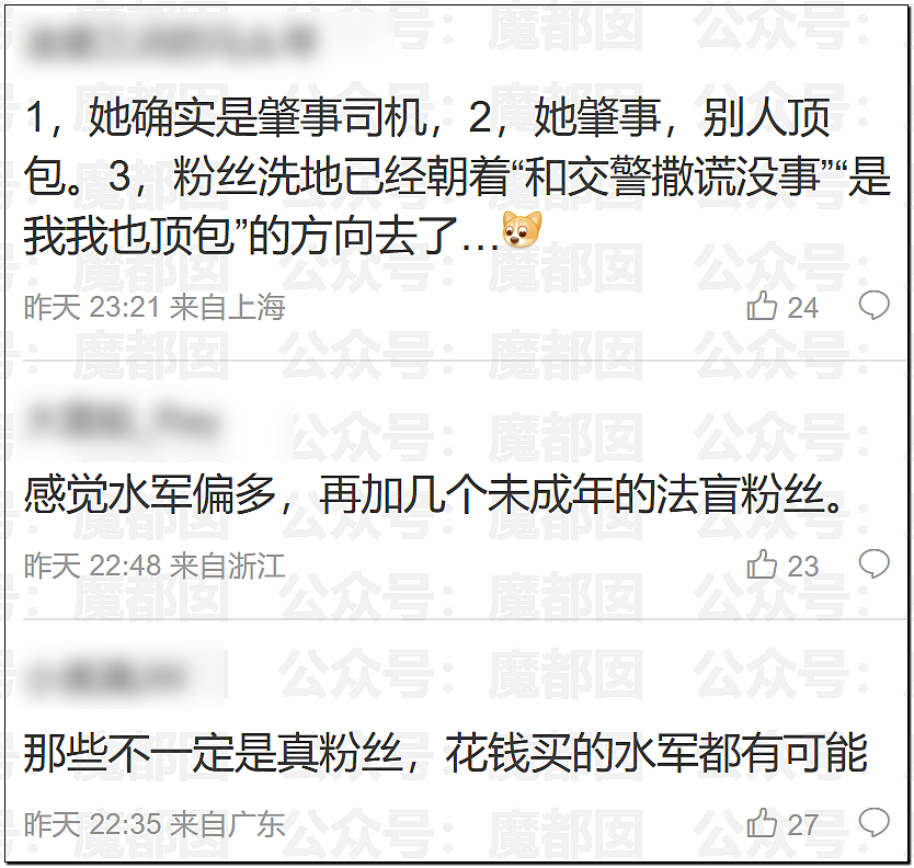 金晨交通肇事最终通报！却引发网友大面积质疑？是否应该担责？（组图） - 40
