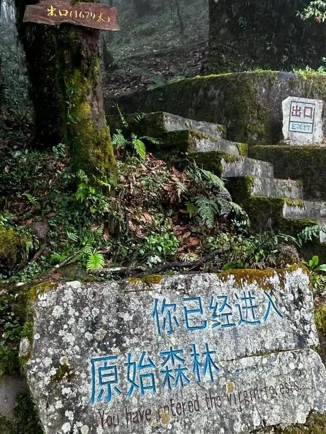 绝望：北大女博士倒挂长城2小时，目睹自己坠亡（组图） - 18