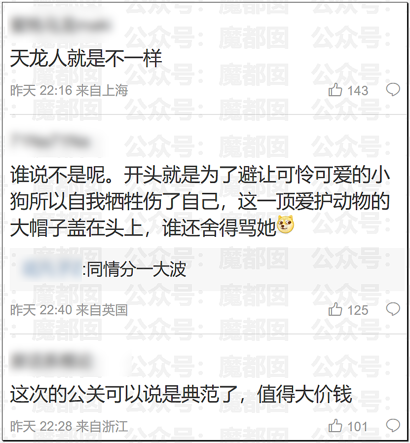 金晨交通肇事最终通报！却引发网友大面积质疑？是否应该担责？（组图） - 24
