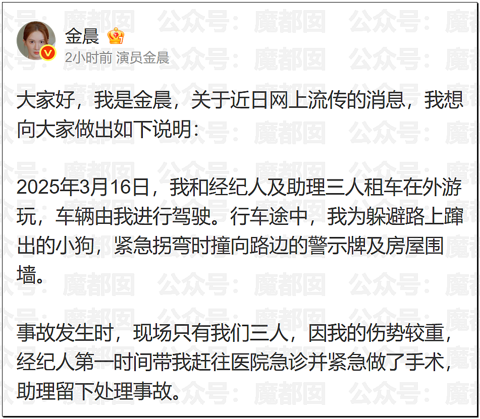 金晨交通肇事最终通报！却引发网友大面积质疑？是否应该担责？（组图） - 4