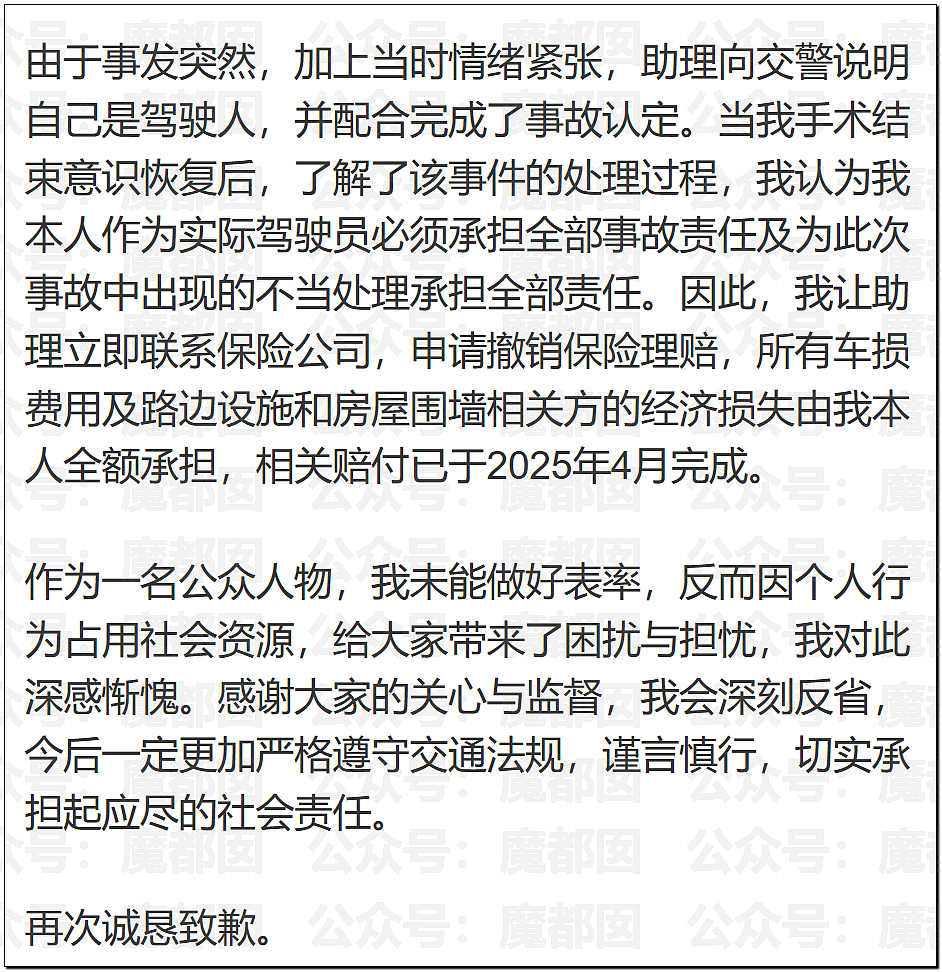 金晨交通肇事最终通报！却引发网友大面积质疑？是否应该担责？（组图） - 5