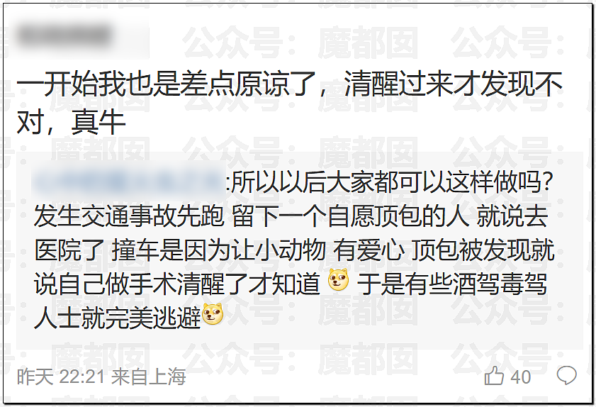 金晨交通肇事最终通报！却引发网友大面积质疑？是否应该担责？（组图） - 28