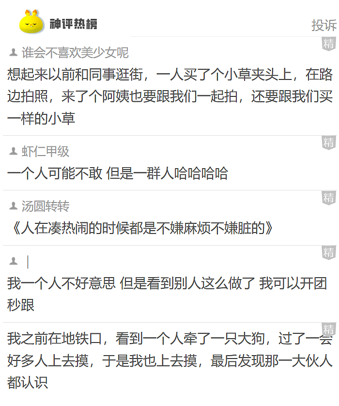 【爆笑】全网都在找这个穿错Prada鞋子的人！知道一双鞋要9000元时我沉默了，看到评论区后：笑疯了......（组图） - 27