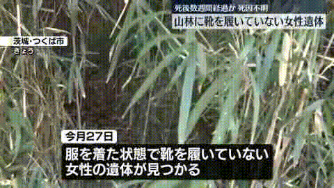 日本山林惊现中国籍女性遗体！眼睛充血疑似窒息死，肋骨骨折、下身仅剩内裤…（组图） - 12