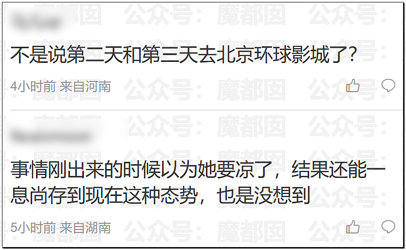 金晨交通肇事最终通报！却引发网友大面积质疑？是否应该担责？（组图） - 29