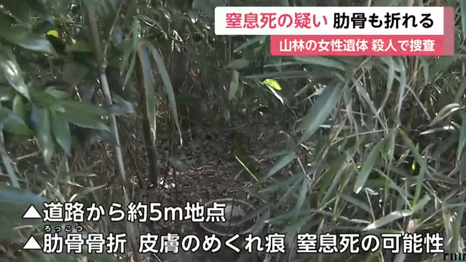 日本山林惊现中国籍女性遗体！眼睛充血疑似窒息死，肋骨骨折、下身仅剩内裤…（组图） - 6