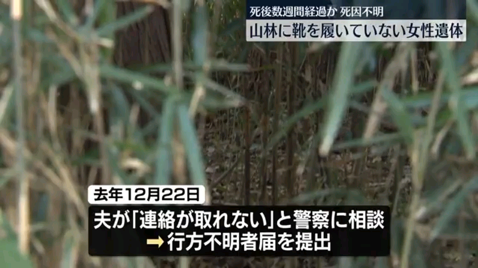 日本山林惊现中国籍女性遗体！眼睛充血疑似窒息死，肋骨骨折、下身仅剩内裤…（组图） - 7