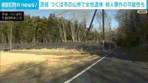 日本山林惊现中国籍女性遗体！眼睛充血疑似窒息死，肋骨骨折、下身仅剩内裤…（组图） - 4