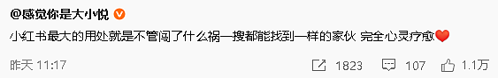 【爆笑】香奈儿26年早春新款鞋子这设计太离谱了吧？网友：这要躺床上穿更有感觉（组图） - 36