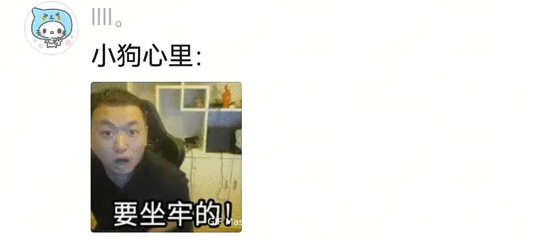 【宠物】狗子的牵引绳和项圈被偷，气得在监控室一个个找嫌疑人…工作人员都看呆了：你居然还真会看啊（组图） - 19