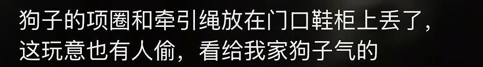 【宠物】狗子的牵引绳和项圈被偷，气得在监控室一个个找嫌疑人…工作人员都看呆了：你居然还真会看啊（组图） - 2