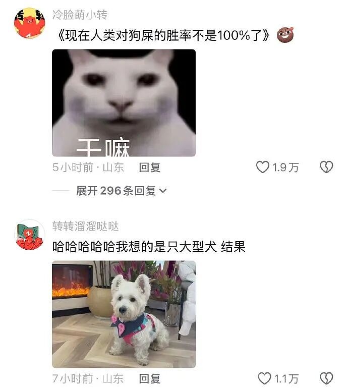 【爆笑】继承亲爸15亿的财产，结果啥也不干选择躺平？网友：换我我也会那么听话（组图） - 37