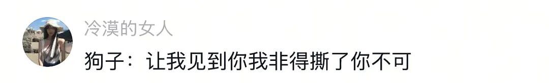 【宠物】狗子的牵引绳和项圈被偷，气得在监控室一个个找嫌疑人…工作人员都看呆了：你居然还真会看啊（组图） - 20