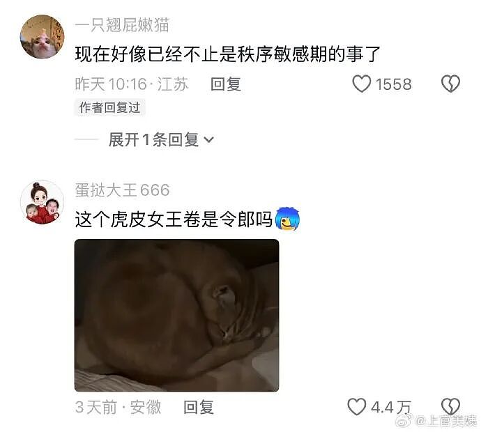 【爆笑】香奈儿26年早春新款鞋子这设计太离谱了吧？网友：这要躺床上穿更有感觉（组图） - 72