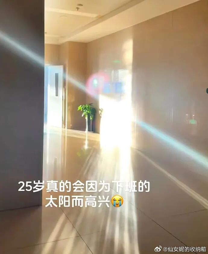 【爆笑】继承亲爸15亿的财产，结果啥也不干选择躺平？网友：换我我也会那么听话（组图） - 25