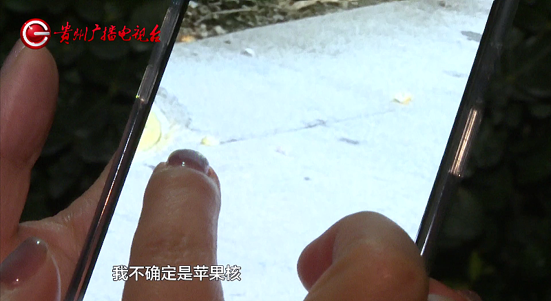 一颗苹果惊动DNA！中国某小区高空抛物，警方直接验源头（视频/组图） - 1