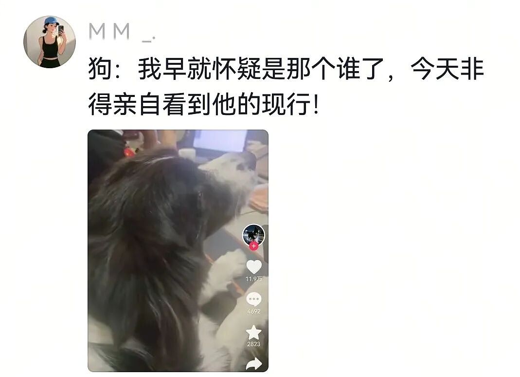 【宠物】狗子的牵引绳和项圈被偷，气得在监控室一个个找嫌疑人…工作人员都看呆了：你居然还真会看啊（组图） - 7