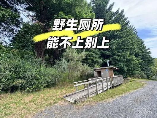 小红书新西兰热门景点崩了，旱厕溢出屎尿！瓶装水基地就在旁边（组图） - 7