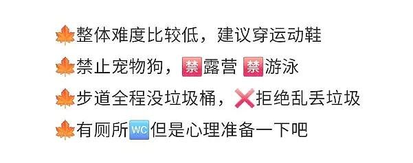 小红书新西兰热门景点崩了，旱厕溢出屎尿！瓶装水基地就在旁边（组图） - 6