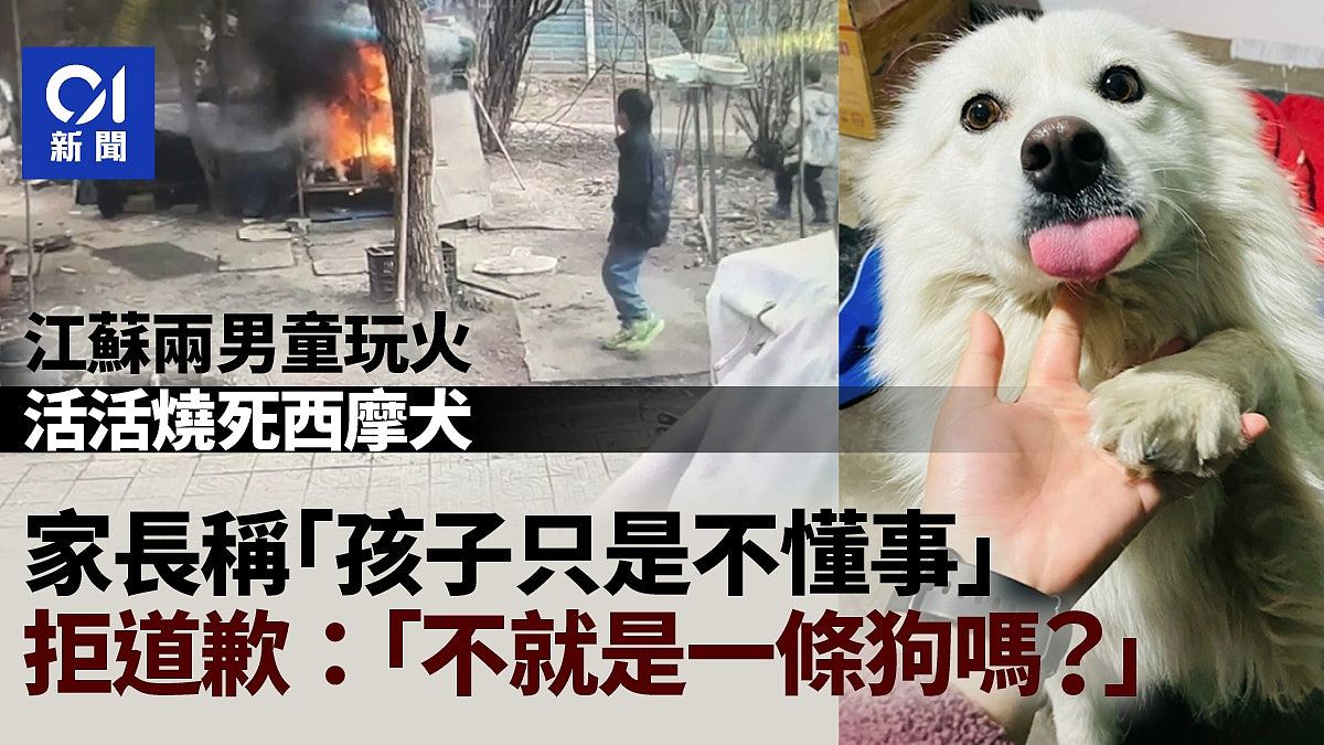 江苏两顽童玩火监生烧死西摩犬，家长拒道歉：不就是一条狗吗？（组图） - 1
