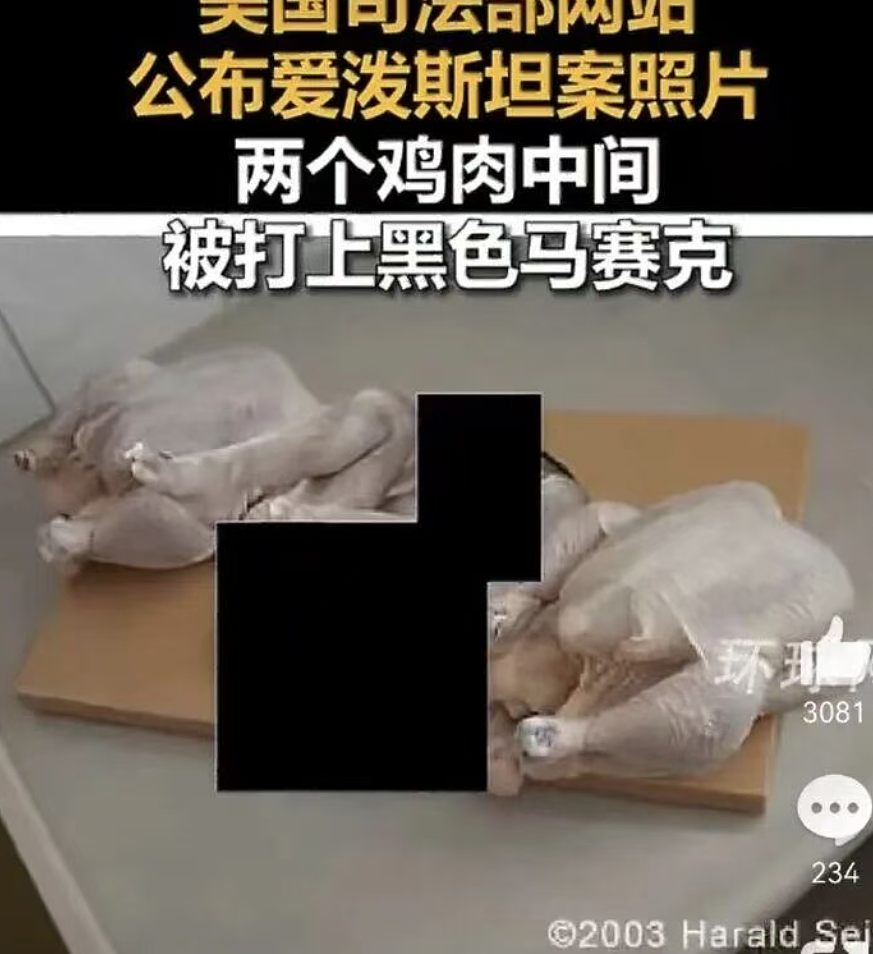 最新公布爱泼斯坦萝莉岛文件完整梳理：婴儿被肢解、案板有人腿太骇人（视频/组图） - 12
