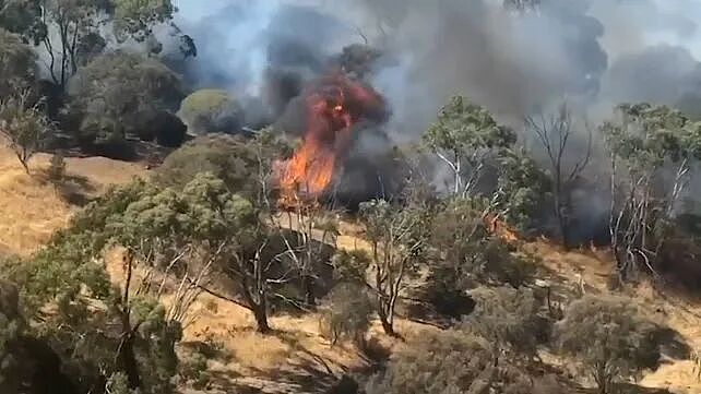 南澳山火失控,250+名消防员出动,居民撤离,袋鼠岛轮渡停运(组图) - 6