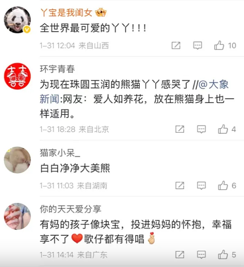 旅美大熊猫丫丫回国两年，胖了20公斤！“判若两熊”登顶热搜（视频/组图） - 10