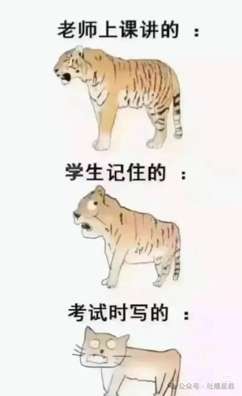 【爆笑】“同事阴阳你天天卡点下班该怎么回复…?”网友辣评:不下班众筹给你下葬吗!(组图) - 38