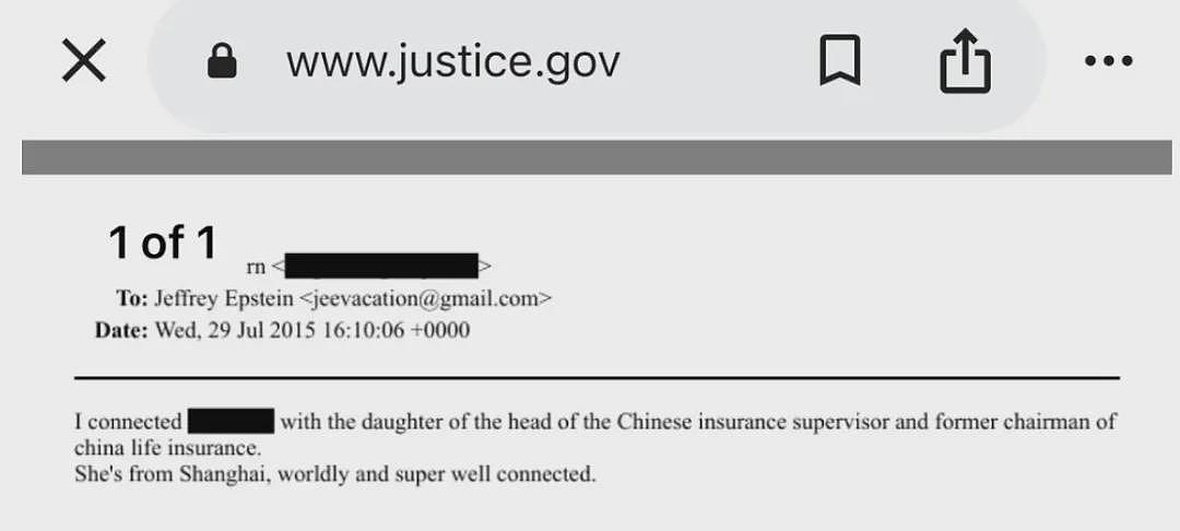 爱波斯坦档案:一上海女大佬遭曝光(组图) - 2