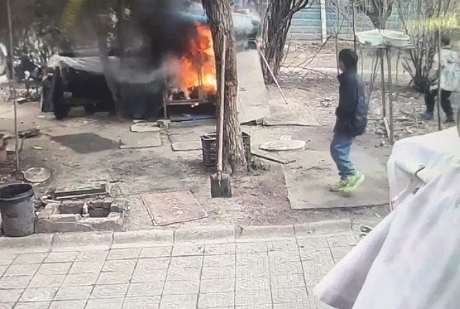 江苏两顽童玩火监生烧死西摩犬，家长拒道歉：不就是一条狗吗？（组图） - 3