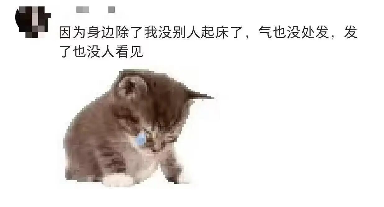 【爆笑】“为什么教师行业没有起床气...?”啊啊啊因为起床气是一天中最小的气!(组图) - 6