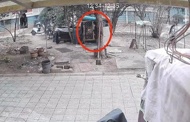 江苏两顽童玩火监生烧死西摩犬，家长拒道歉：不就是一条狗吗？（组图） - 2