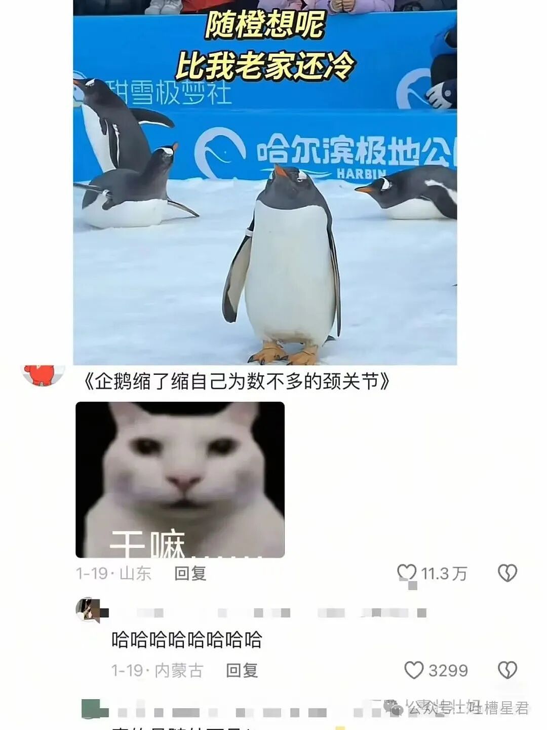 【爆笑】“同事阴阳你天天卡点下班该怎么回复…?”网友辣评:不下班众筹给你下葬吗!(组图) - 24