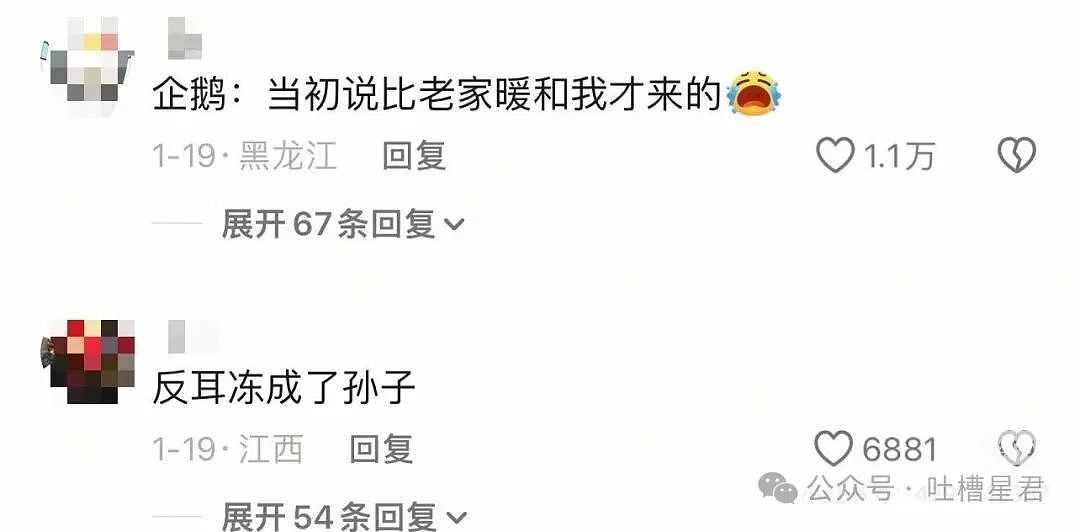 【爆笑】“同事阴阳你天天卡点下班该怎么回复…?”网友辣评:不下班众筹给你下葬吗!(组图) - 25