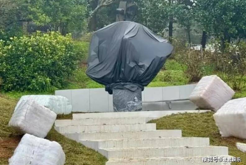 大S雕像揭幕仪式成员确定：小S家人，具俊晔，艺人闺蜜和亲友出席（组图） - 12