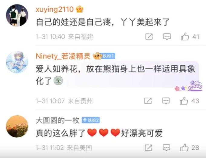 旅美大熊猫丫丫回国两年，胖了20公斤！“判若两熊”登顶热搜（视频/组图） - 11