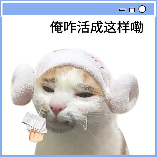 【爆笑】“为什么教师行业没有起床气...?”啊啊啊因为起床气是一天中最小的气!(组图) - 2