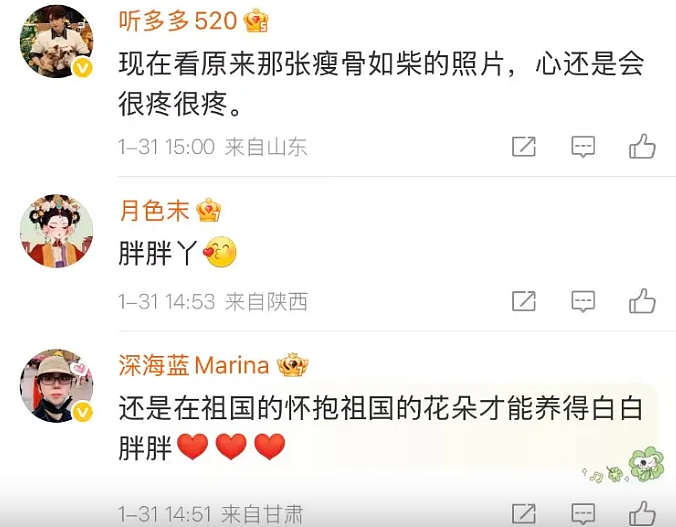 旅美大熊猫丫丫回国两年，胖了20公斤！“判若两熊”登顶热搜（视频/组图） - 12
