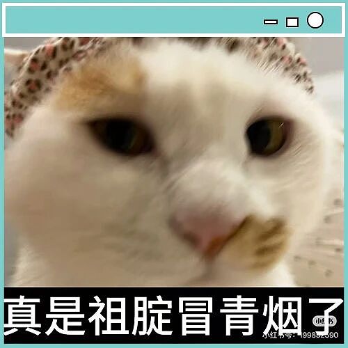 【爆笑】“为什么火车卧铺列车员经过的这么勤...？”哈哈哈评论区把人笑崩溃了！（组图） - 12