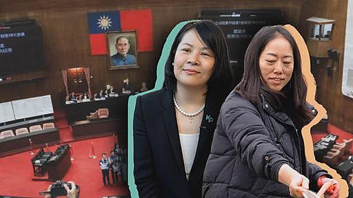 台湾民众党“大换血”：首位陆配立委与“两年条款”的例外（组图） - 3
