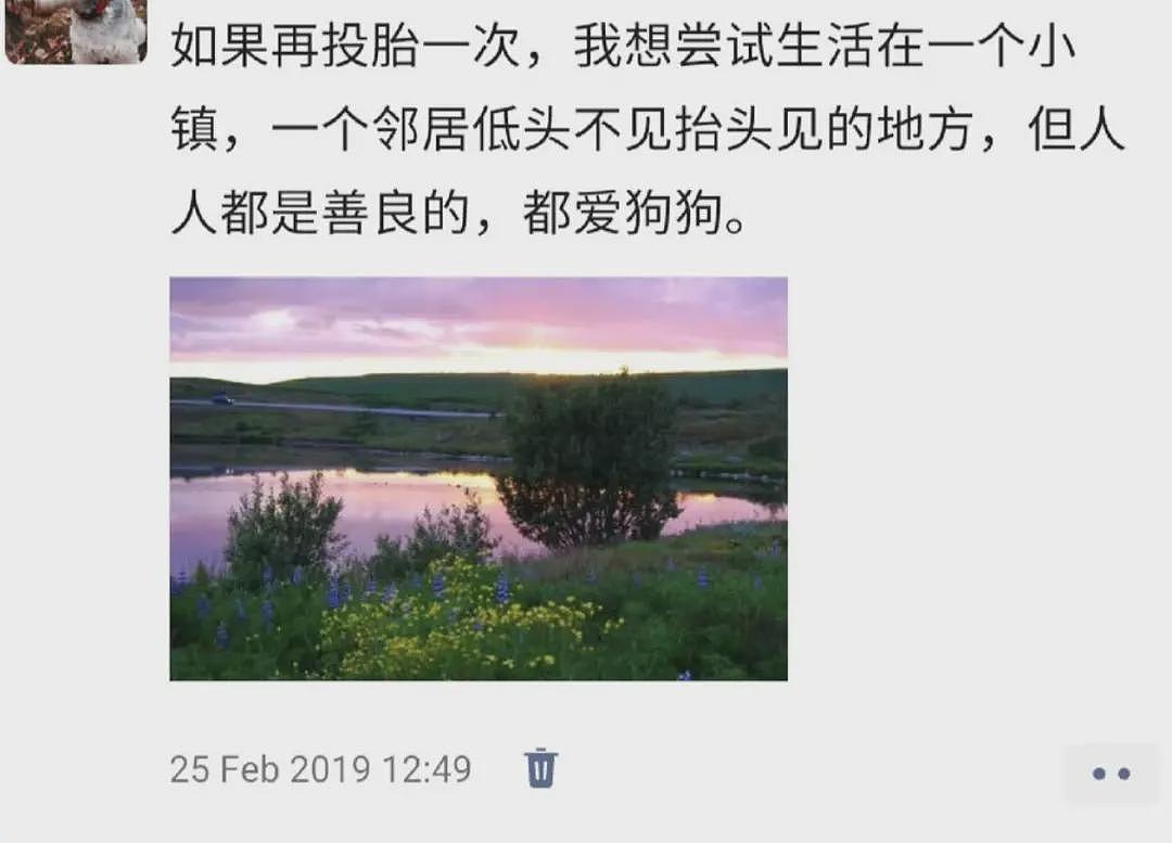 45岁,我上岸冰岛公务员,年休120天...(组图) - 28